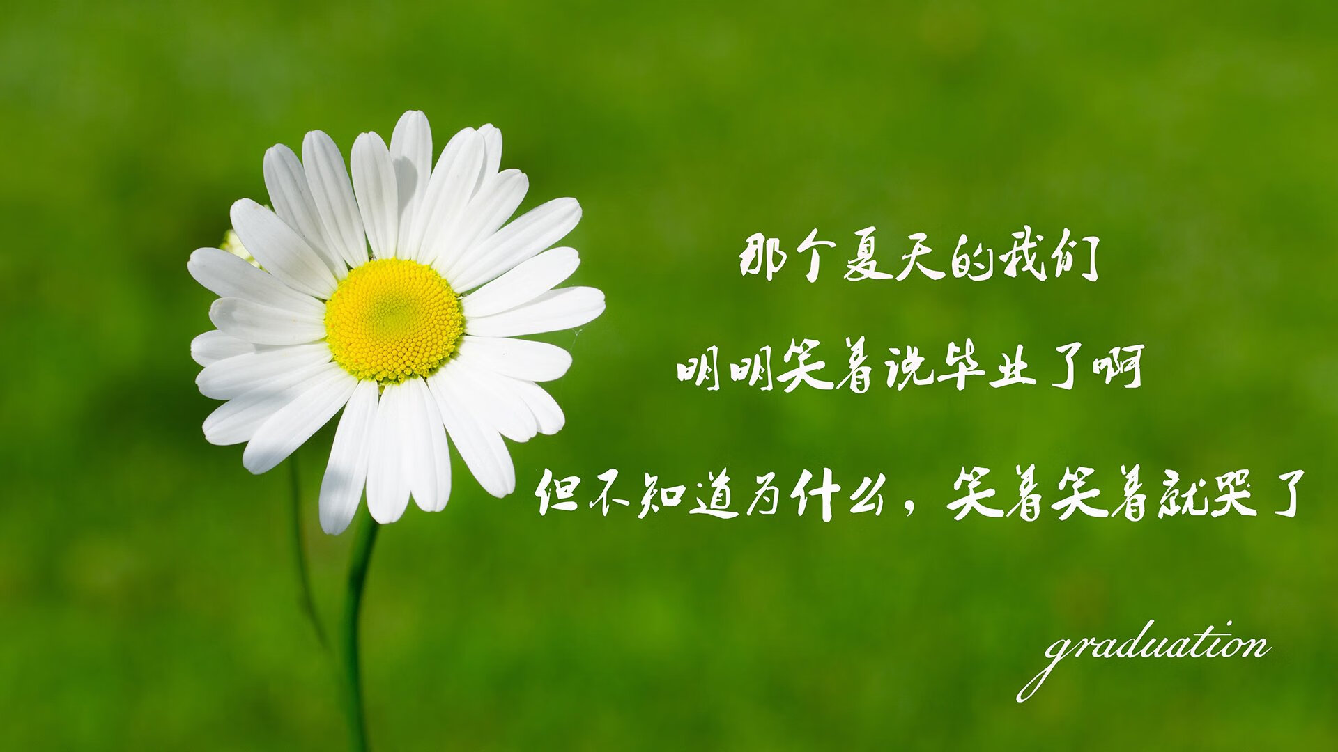 全国青少年“篮球摄影”微电影征集盛大开启，展现青春风采，篮球摄影比赛作品简介