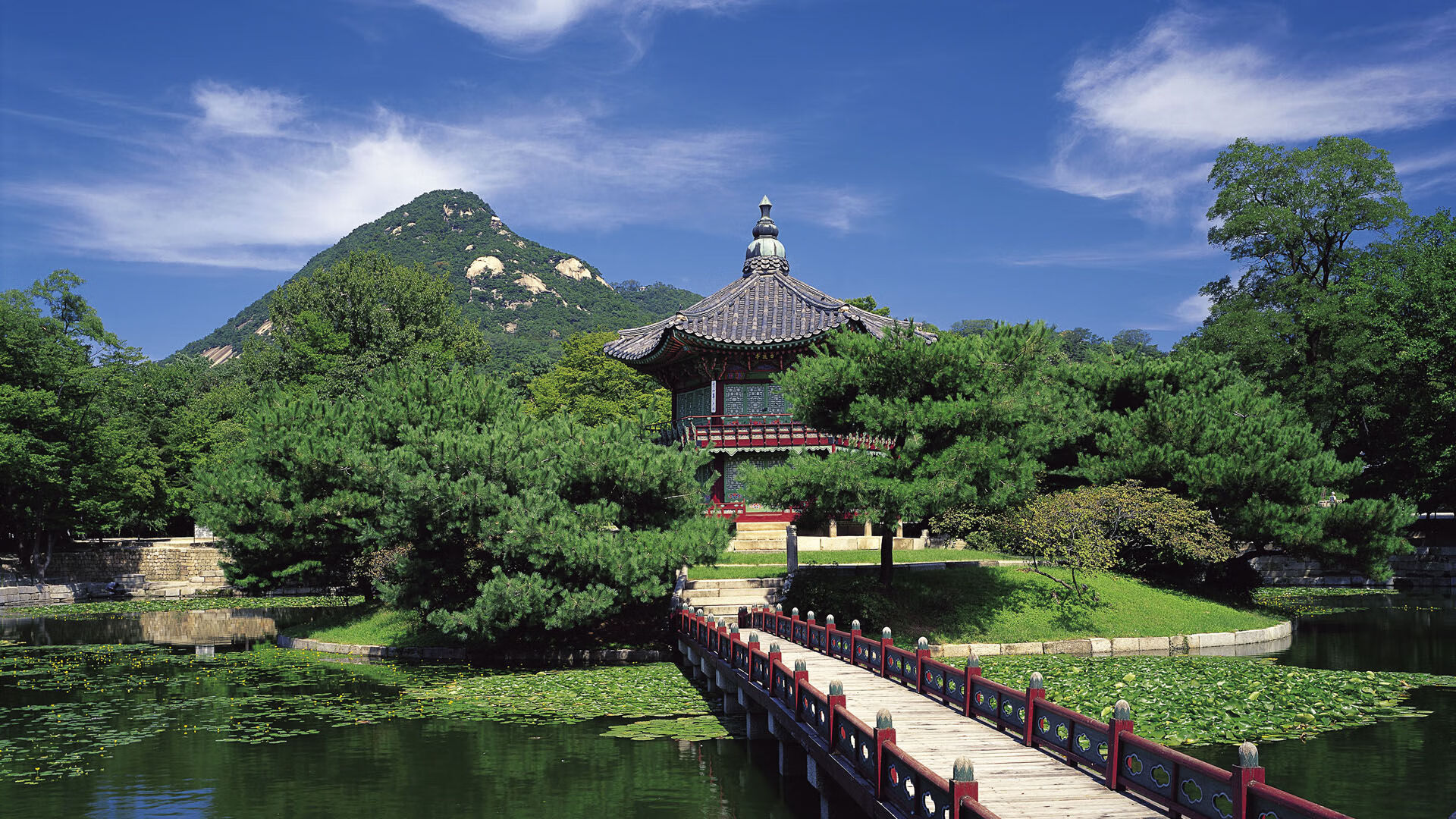 河南建业客场逼平山东鲁能泰山队，妙不可延鲁能客场4_1河南建业新浪报道