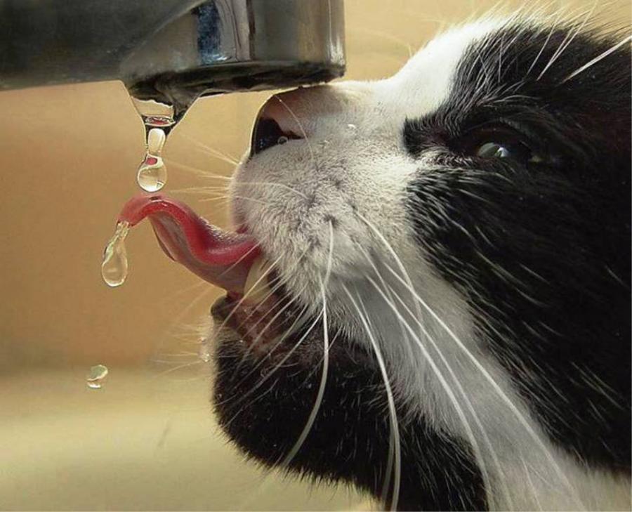 猛烈对抗！国内足球胜负命运多舛，中国足球队胜负