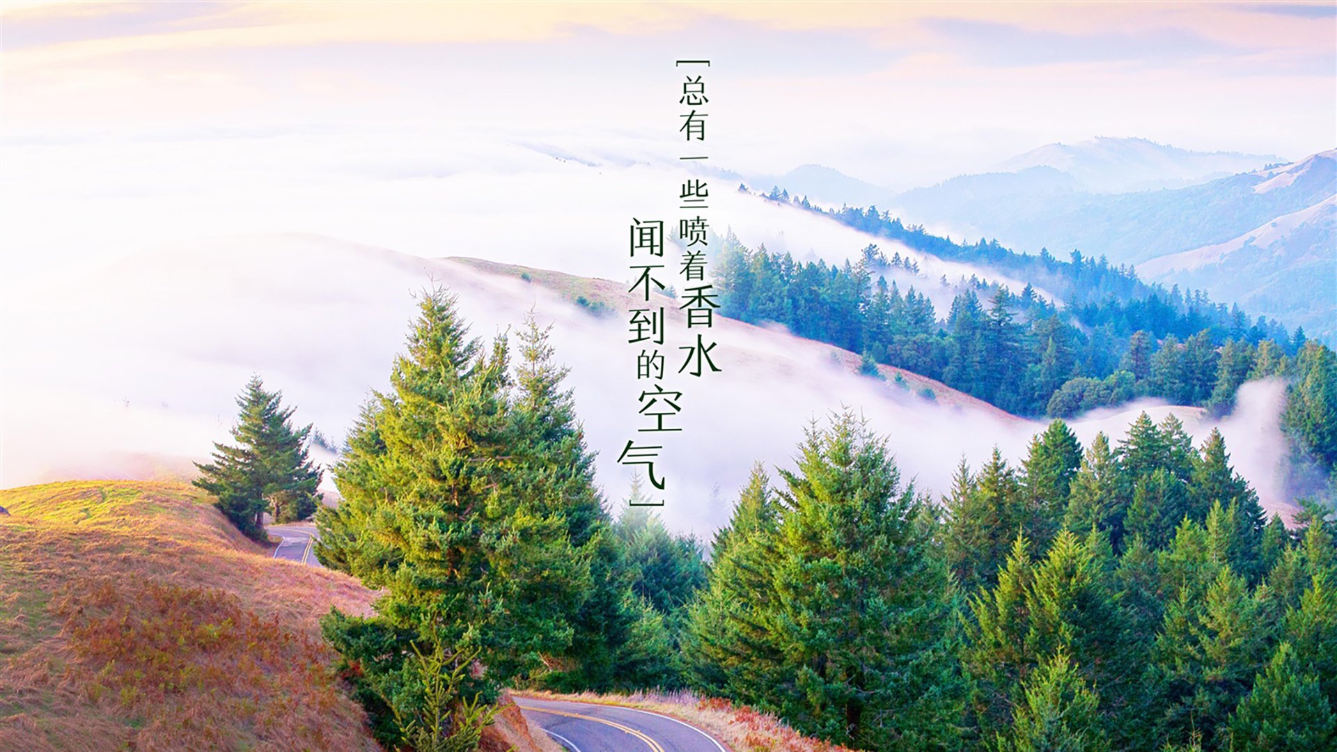 球队是否应推进球员与球迷深度对话，球队和球员选项