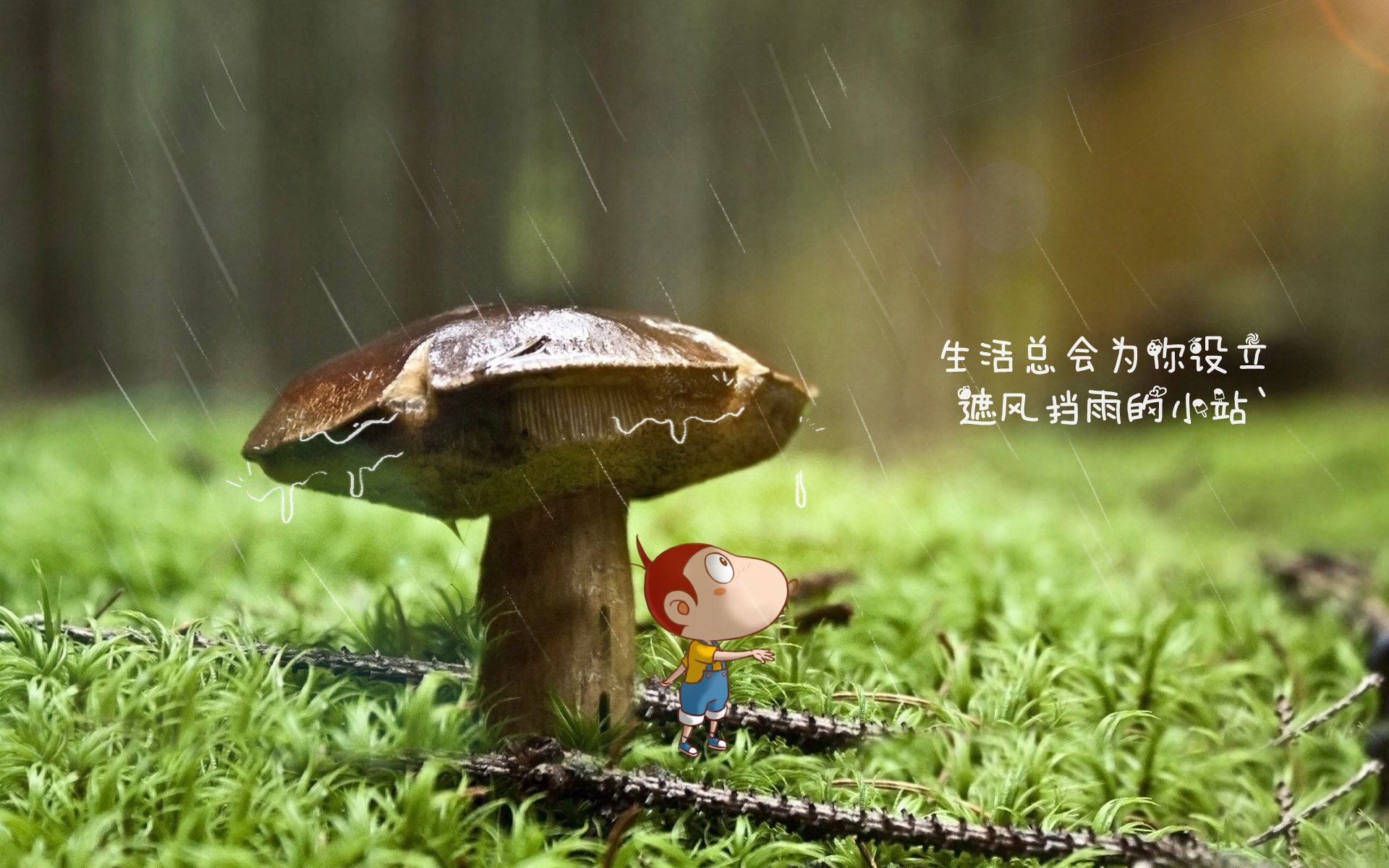 职业篮球联盟运营模式，篮球联盟是什么