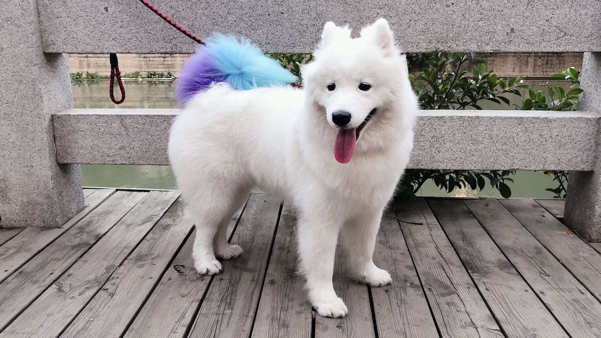 九游网游官网-英超冠军争夺：悬念成就最终荣耀！，英超夺冠奇迹